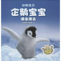 全新企鹅宝宝滑来滑去泰特尔鲍姆9787509536162