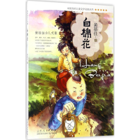 全新白棉花黄蓓佳 著9787209095266