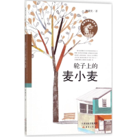 全新轮子上的麦小麦殷健灵 著9787530765791