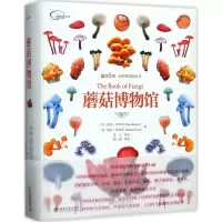 全新蘑菇博物馆