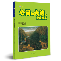 全新心灵与大脑的秘密绘本日北泽杏子著9787550724921