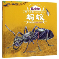 全新地下工匠:蚂蚁(精装)/昆虫绘付赛男9787541767609