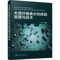 全新木质纤维素水热炼制原理与技术作者978712558