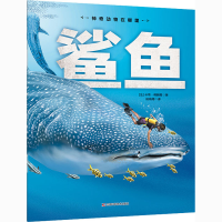 全新鲨鱼(法)卡蒂·朗哥9787557877545