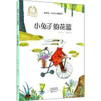 全新小兔子的花篮陈晖9787535082886