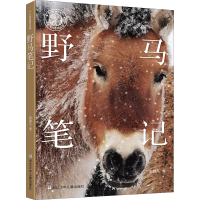 全新野马笔记张赫凡9787559727442