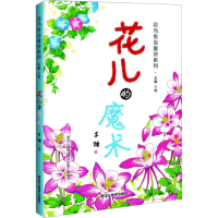 全新花儿的魔术木糖9787570935109