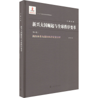 全新国际体系与国际秩序定量分析祁玲玲9787305228216