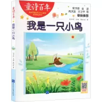 全新我是一只小鸟赖松廷9787830111