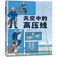 全新天空中的高压线(日)镰田步9787573613943
