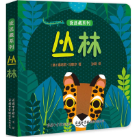 全新捉迷藏系列(澳)娜塔莉·马歇尔 著;孙璐 译9787517605676