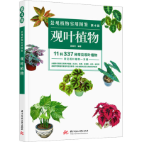 全新景观植物实用图鉴 第4辑 观叶植物薛聪贤 编9787568041119