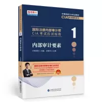 全新内部审计要素邱银河97875212491