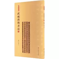 全新武威汉简书法 4张德芳,王立翔 编9787547930069