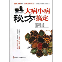 全新大病小病 秘方搞定刘学华 编9787505904