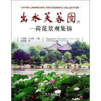 全新出水芙蓉王其超 等 编9787503870453