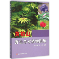 全新黄柏山野生草本植物图鉴王齐瑞,张琳 主编9787550911819