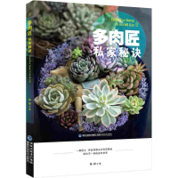 全新多肉匠私家秘诀陈樑 著9787533548513