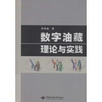 全新数字油藏理论与实践李功权 著9787562533979