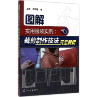 全新图解实用实例王健,王京菊 著9787122278395