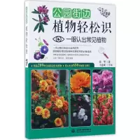 全新公园街边植物轻松识张华 著9787517049951