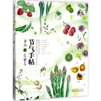 全新节气手帖蔓玫 著9787535293558