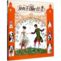 全新没有王国的公主
