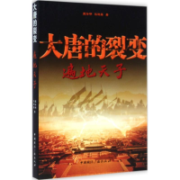 全新大唐的裂变王澄明,黎晓春 著9787507837629