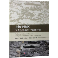 全新上扬子地区下古生界页岩气地质评价张金川9787030611192