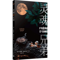 全新灵魂兄弟(法)达维德·迪奥普(David Diop)9787020156740