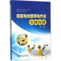 全新输配电线路带电作业实操图册卢刚 主编9787515