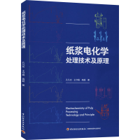 全新纸浆电化学处理技术及原理孔凡功,王守娟,高超9787518429813