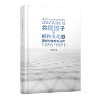 全新共同因子和结构变化的面板协整检验研究陈海燕9787550445765