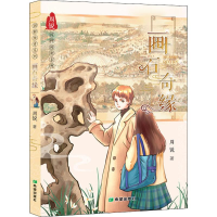 全新画石奇缘周锐9787537982245