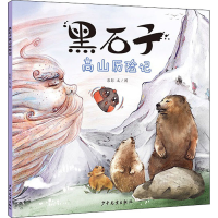 全新黑石子高山历险记彭彭9787558907579