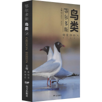 全新鄂尔多斯鸟类吴佳立著9787555515005