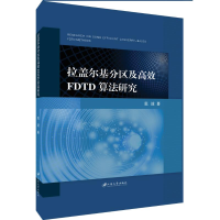 全新拉盖尔基分区及高效FDTD算法研究张波9787568410953