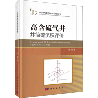全新高含硫气井井筒硫沉积评价郭肖9787030675217
