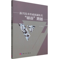 全新新兴技术形成机制及其"峡谷"跨越宋艳9787030687333