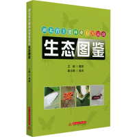 全新湖北省主要林业有害昆虫生态图鉴戴丽 编9787568068529