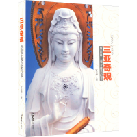 全新三亚奇观 南山海上观音建造纪事管志华9787549628414