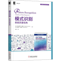 全新模式识别 数据质量视角