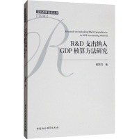 全新R&D支出纳入GDP核算方法研究杨新洪9787520344852