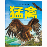 全新猛禽(法)萨比娜·博卡多尔9787557878207