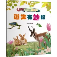 全新逃生有妙招佰思科学 编9787572200571