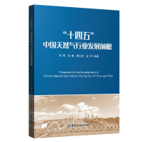 全新十四五中国天然气行业发展前瞻徐博等编著9787522010670