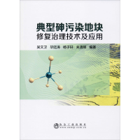 全新典型砷污染地块修复治理技术及应用吴文卫9787502481537