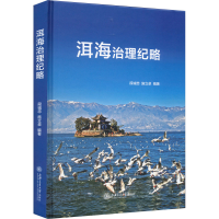 全新洱海治理纪略段诚忠、施立卓著9787313268518