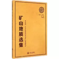 全新矿山地质选集汪贻水,彭觥,肖垂斌 主编9787548717348