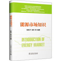 全新能源市场知识张粒子,张洪9787519848897